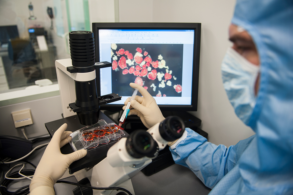 Eilandjes van langerhans