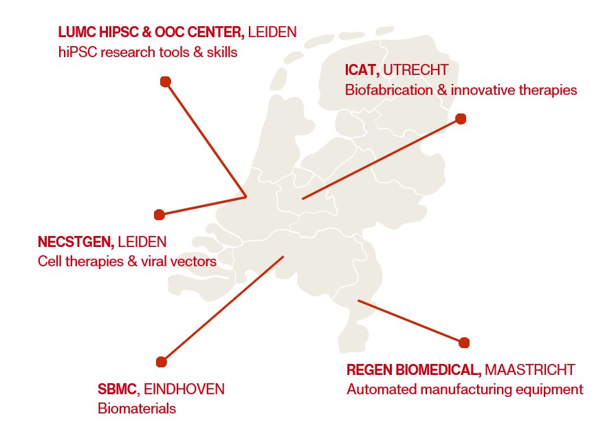 RegMed XB Pilot Factory Pilot lines