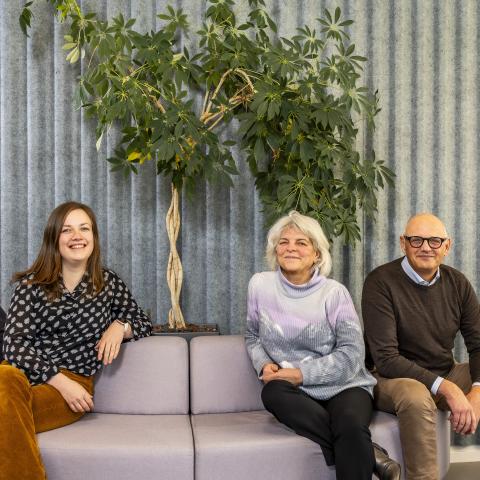 Brightlands Glossy 2025