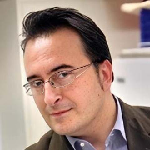 Prof. Dr. Maurilio Sampaolesi