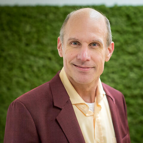 Prof. Dr. Martijn van Griensven