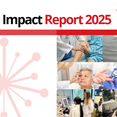 Impact report 2025